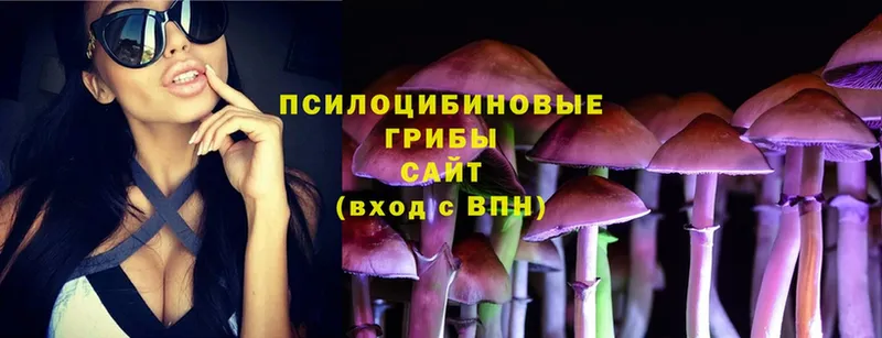 где купить наркоту  Глазов  Галлюциногенные грибы MAGIC MUSHROOMS 